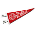 Pennant -School Seal