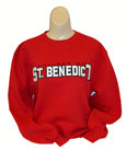 2 Line Embroidered Sweatshirt