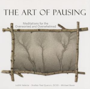Art Of Pausing Meditations For The Overworked And Overwhelmed (SKU 11327448193)