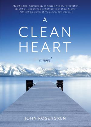 Clean Heart A Novel (SKU 11679752190)