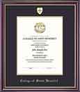 Diploma Frame -Dd Shield Windsor
