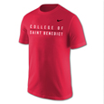 Nike College Of St. Benedict 2 Line Stripe Short Sleeve T-Shirt
