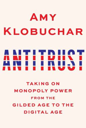 Antitrust Taking On Monopoly Power Form The Gilded Age To The Digital Age (SKU 11698999191)