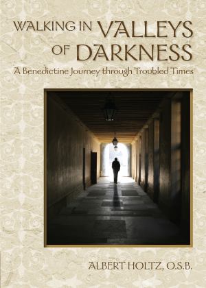 Walking In Valleys Of Darkness A Benedictine Journey Through Troubled Times