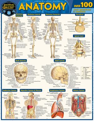 Anatomy Quizzer (SKU 11677055199)