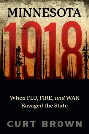 Minnesota 1918 When Flu Fire And War Ravaged The State