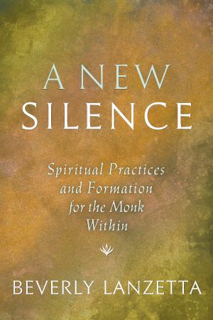 New Silence Spiritual Practices And Formation For The Monk Within