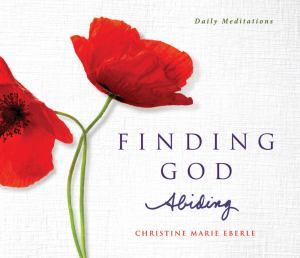 Finding God Abinding Daily Meditations (SKU 11750246193)