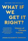 What If We Get It Right? - cover photo