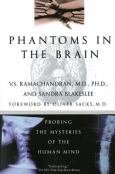 Phantom's In The Brain - cover photo