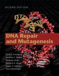 Dna Repair+Mutagenesis - cover photo