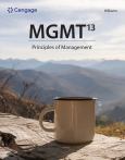 (eBook) MGMT13 - cover photo