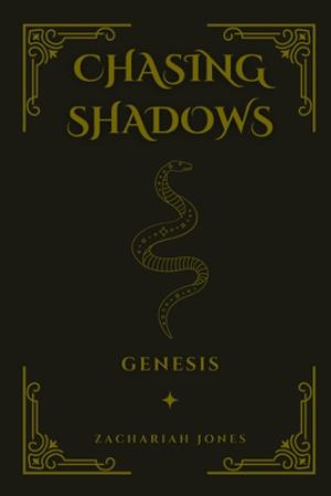 Chasing Shadows Genesis (SKU 11777274189)