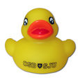 Rubber Ducky -C.S.B./S.J.U.