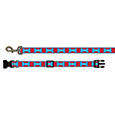 Pet Leash And Collar Set